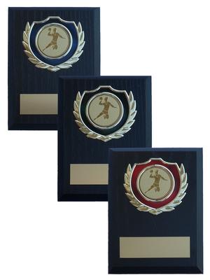 Plaketter - Träplakett